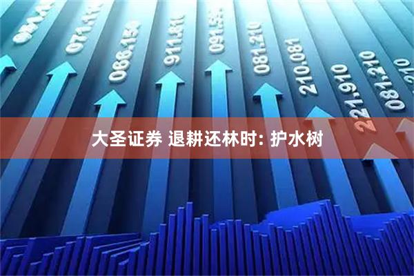 大圣证券 退耕还林时: 护水树