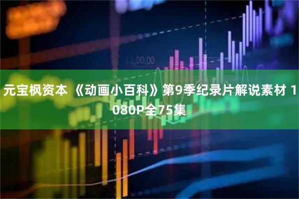 元宝枫资本 《动画小百科》第9季纪录片解说素材 1080P全75集