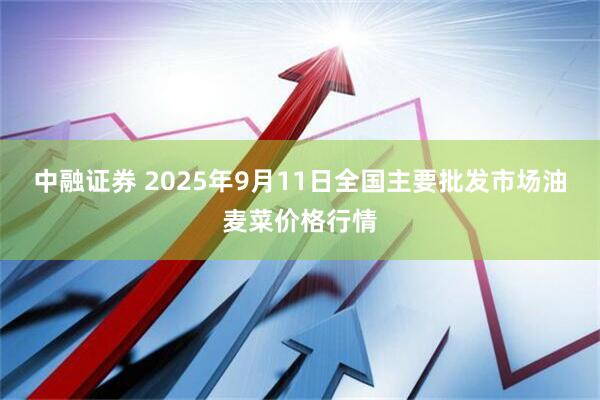 中融证券 2025年9月11日全国主要批发市场油麦菜价格行情