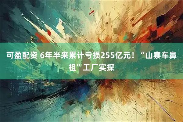 可盈配资 6年半来累计亏损255亿元！“山寨车鼻祖”工厂实探
