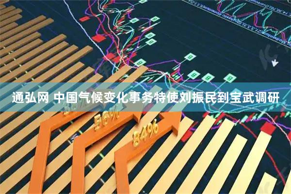 通弘网 中国气候变化事务特使刘振民到宝武调研