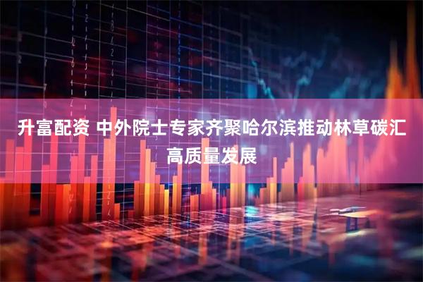 升富配资 中外院士专家齐聚哈尔滨推动林草碳汇高质量发展