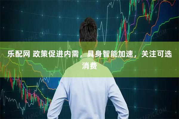 乐配网 政策促进内需，具身智能加速，关注可选消费