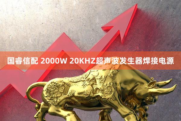 国睿信配 2000W 20KHZ超声波发生器焊接电源