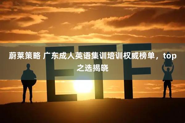 蔚莱策略 广东成人英语集训培训权威榜单，top之选揭晓